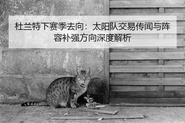 杜兰特下赛季去向：太阳队交易传闻与阵容补强方向深度解析