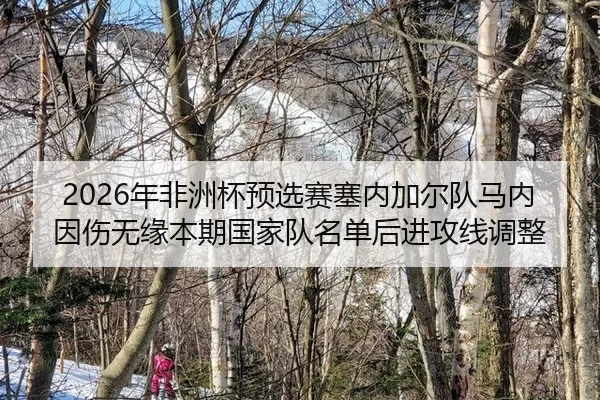 nian-fei-zhou-bei-yu-xuan-sai-sai-nei-jia-er-dui-ma-nei-yin-shang-wu-yuan-ben-qi-guo-jia-dui-ming-dan-hou-jin-gong-xian-2-655.jpg