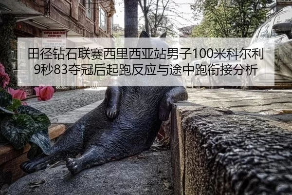 tian-jing-zuan-shi-lian-sai-xi-li-xi-ya-zhan-nan-zi-mi-ke-er-li-miao-duo-guan-hou-qi-pao-fan-ying-yu-tu-zhong-pao-xian-2-438.jpg